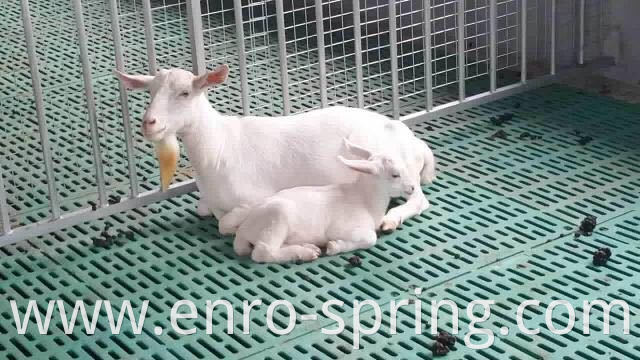 Plastic Slatted Floor for Piglets